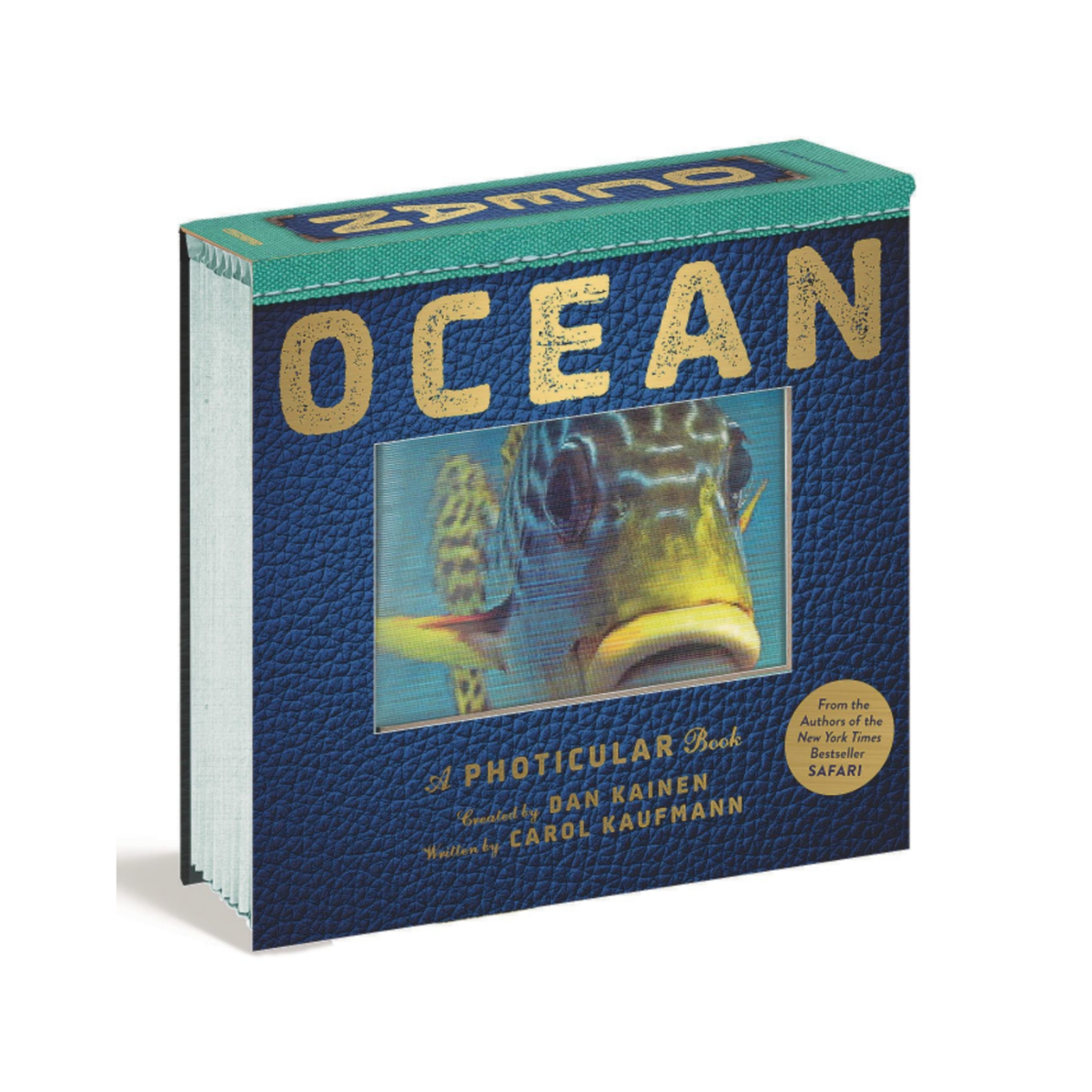 Photicular Book Ocean